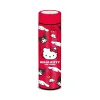 Hidrata-te com a Garrafa em Aço Inoxidável Hello Kitty and Friends de 500 ml da Karactermania