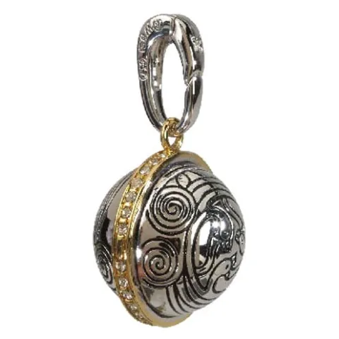 Não te esqueças da magia com o Pendente Charm Lembrol Harry Potter