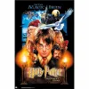 Dá magia à parede com o Poster Harry Potter e a Pedra Filosofal da Erik. Papel brilhante de 150 gr e formato de 91