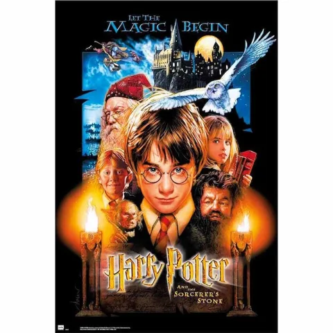 Dá magia à parede com o Poster Harry Potter e a Pedra Filosofal da Erik. Papel brilhante de 150 gr e formato de 91