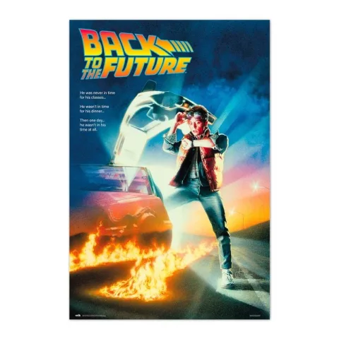 Decora o espaço com o poster de Regresso ao Futuro da Erik: 91