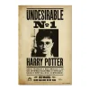 Mostra que és fã a sério com o poster Indesejável N.º 1 do Harry Potter. Impresso em papel brilho de 150 gr e com 91