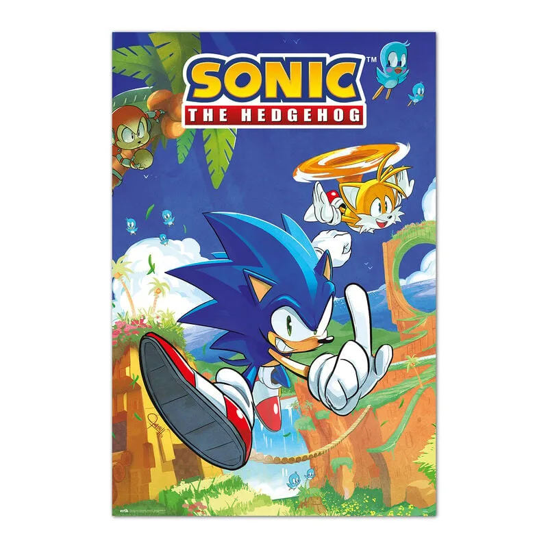 Leva a velocidade do Sonic para a parede com o Poster Sonic e Tails da ERIK. Papel brilhante de 150 gr e 91