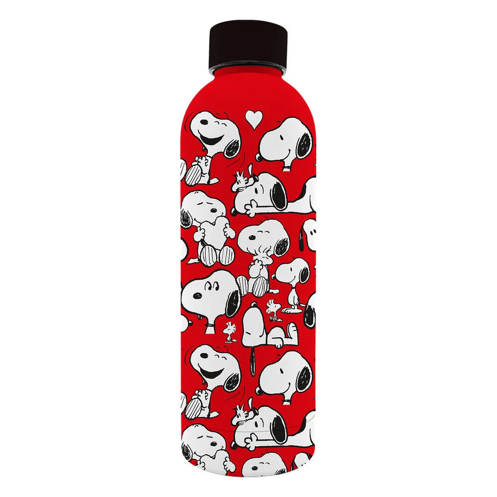 Garrafa de aço inoxidável Snoopy Peanuts de 800 ml